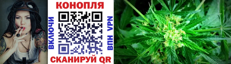 Конопля OG Kush  Купить  Каргат 